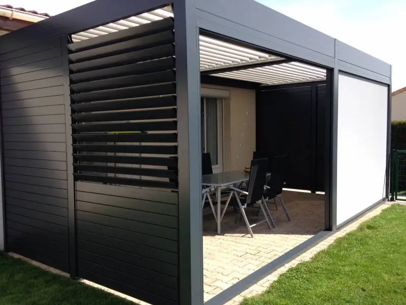 Adjustable brise-soleil